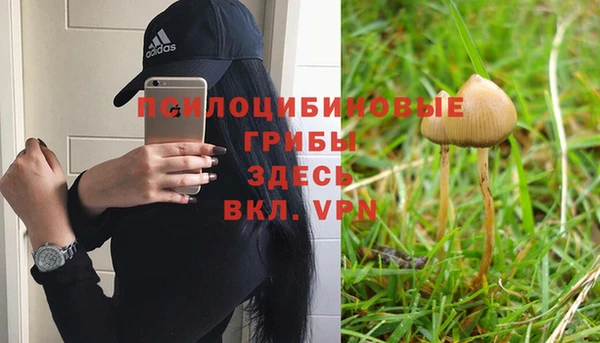 ALPHA-PVP Кинешма